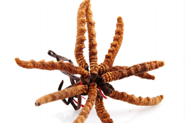 冬蟲夏草發(fā)霉了該怎么處理 4招來補救 冬蟲夏草發(fā)霉了該怎么處理 4招來補救