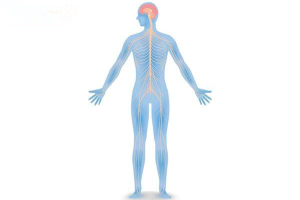 什么是自律神經(jīng)失調(diào) 自律神經(jīng)失調(diào)可以吃補嗎