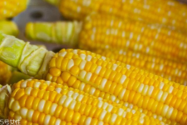 玉米為什么那么甜 因?yàn)樗翘鹩衩?>
               <p class=