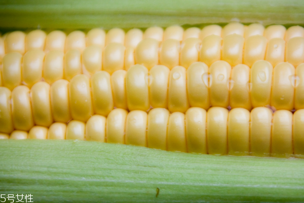 玉米怎么煮好吃 這樣煮出來最美味 玉米怎么煮好吃 這樣煮出來最美味