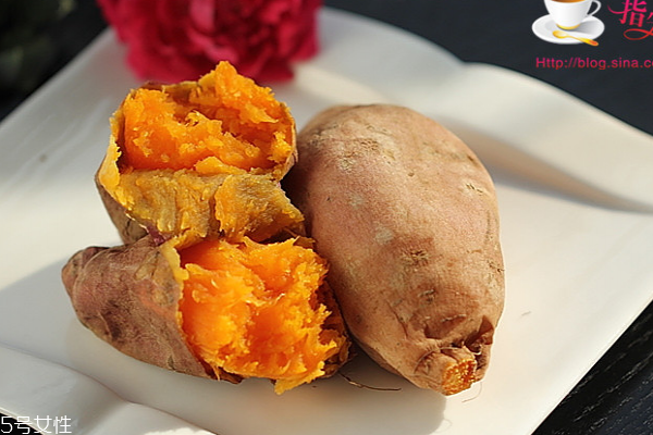 紅薯怎么保存不會爛掉 老方法才最實用