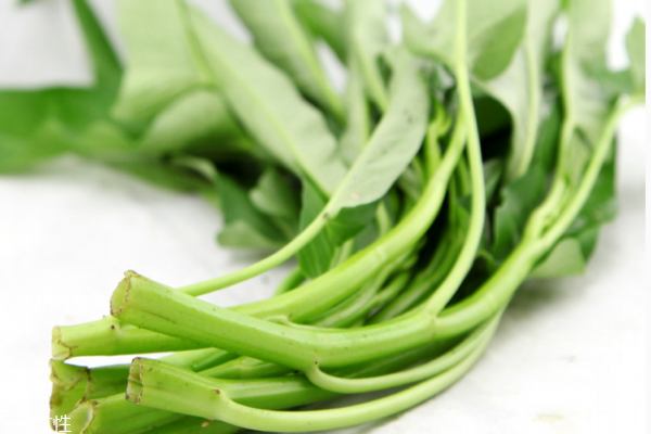 空心菜吃多了會怎樣 兩個壞處