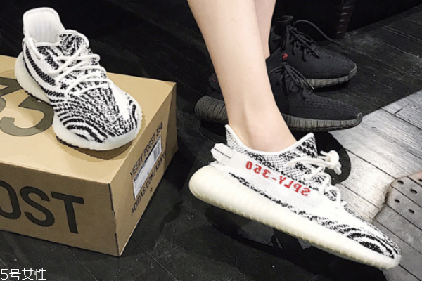 yeezy白斑馬2018補貨貨量 原價入手的好機會 yeezy白斑馬2018補貨貨量 原價入手的好機會