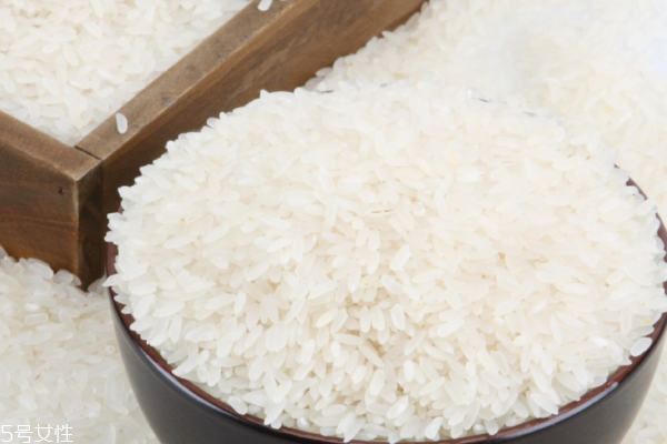 大米會(huì)長什么蟲 它叫米象蟲