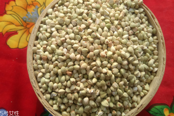 蕎麥有什么營養(yǎng)成分 營養(yǎng)很豐富 蕎麥有什么營養(yǎng)成分 營養(yǎng)很豐富