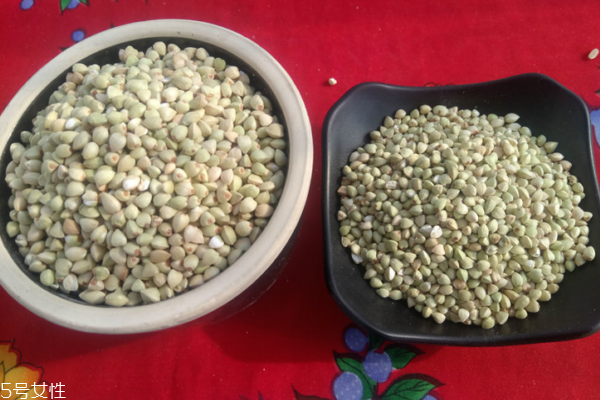 蕎麥有什么營養(yǎng)成分 營養(yǎng)很豐富 蕎麥有什么營養(yǎng)成分 營養(yǎng)很豐富