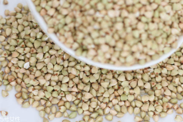 蕎麥有什么營養(yǎng)成分 營養(yǎng)很豐富 蕎麥有什么營養(yǎng)成分 營養(yǎng)很豐富