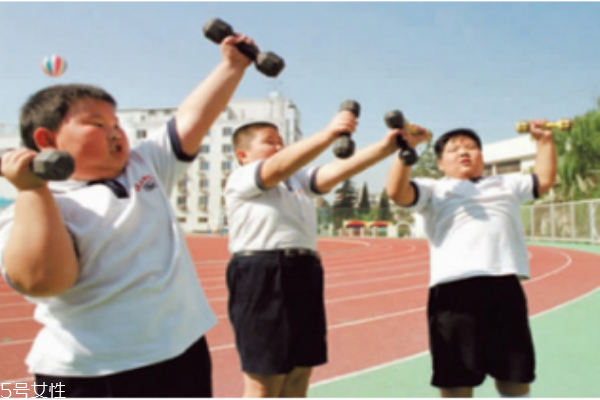 應(yīng)該注意小孩脂肪和膽固醇的攝取量嗎？