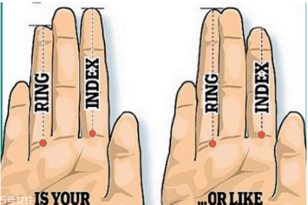 怎么讓手指變細變長 手指長度決定性格