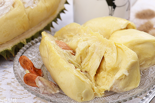 榴蓮是圓的好嗎 橢圓的更棒 榴蓮是圓的好嗎 橢圓的更棒