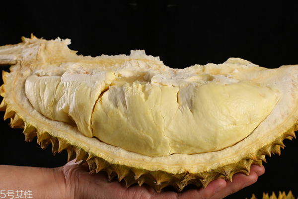 榴蓮是圓的好嗎 橢圓的更棒 榴蓮是圓的好嗎 橢圓的更棒