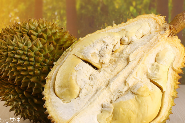 榴蓮是圓的好嗎 橢圓的更棒 榴蓮是圓的好嗎 橢圓的更棒