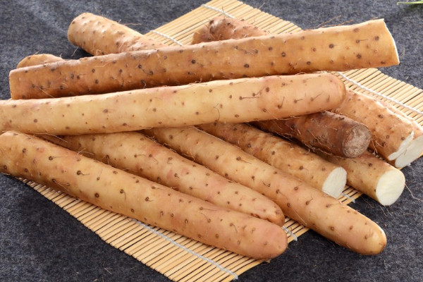 麻山藥長(zhǎng)芽還能吃嗎？麻山藥和鐵棍山藥的區(qū)別