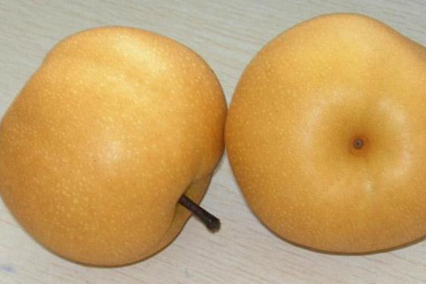 什么品種的梨最好吃？中國(guó)四大名梨介紹