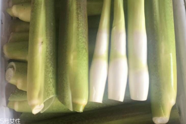 茭白怎么挑 這樣的茭白最完美 茭白怎么挑 這樣的茭白最完美