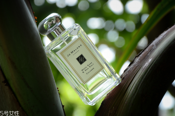 馥奇香調的香水有哪些 馥奇香調適合什么人