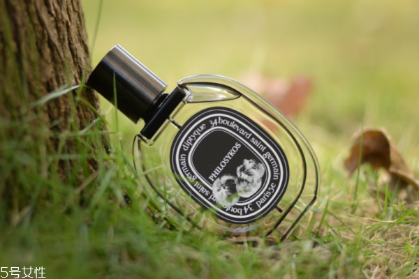 馥奇香調的香水有哪些 馥奇香調適合什么人