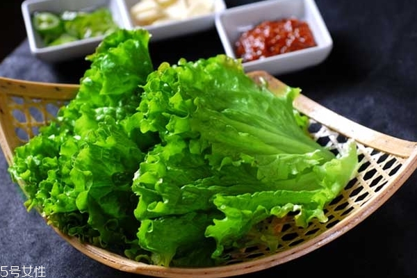 生菜為什么不長(zhǎng)蟲 真相是這樣