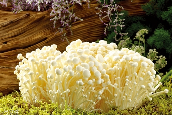 金針菇煮多久才熟 不用很久 金針菇煮多久才熟 不用很久