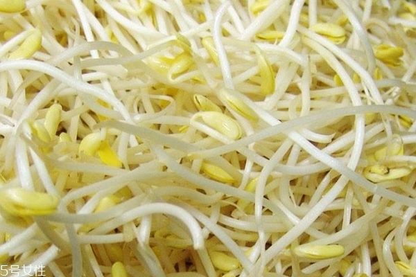 豆芽為什么苦 4個(gè)原因