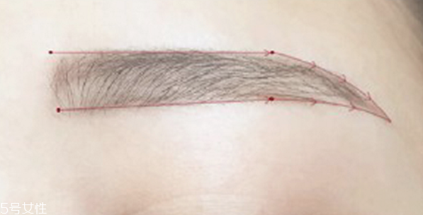 歐美野生眉怎么畫(huà) 眉毛的畫(huà)法步驟圖解