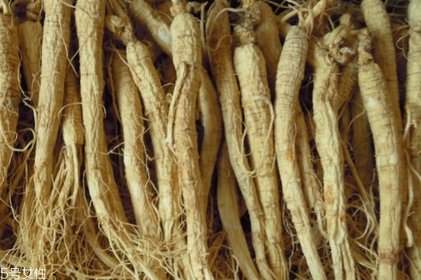 野山參能生吃嗎 不建議生吃 野山參能生吃嗎 不建議生吃