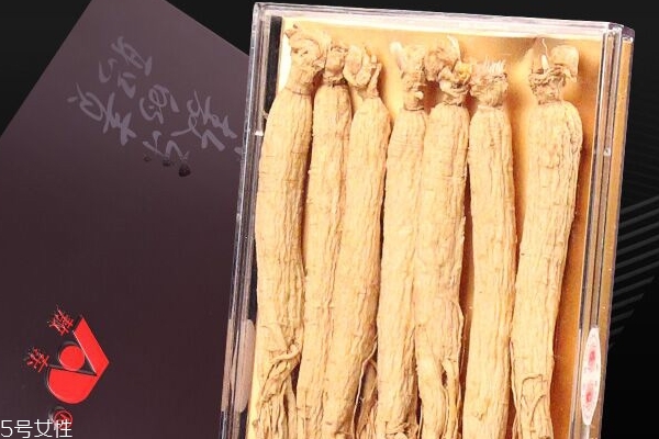 野山參能生吃嗎 不建議生吃 野山參能生吃嗎 不建議生吃