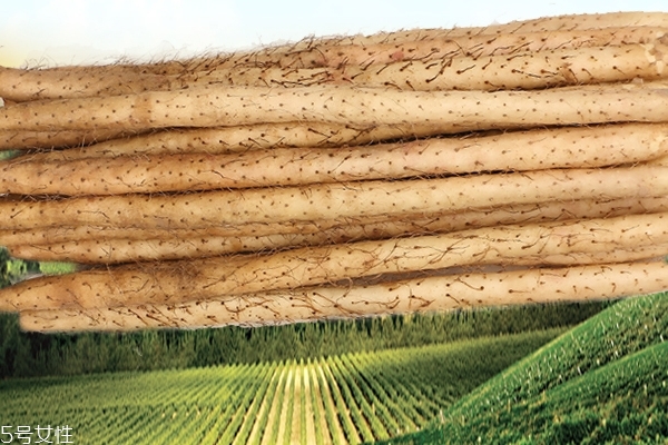 山藥為什么會變黑 是這個(gè)原因