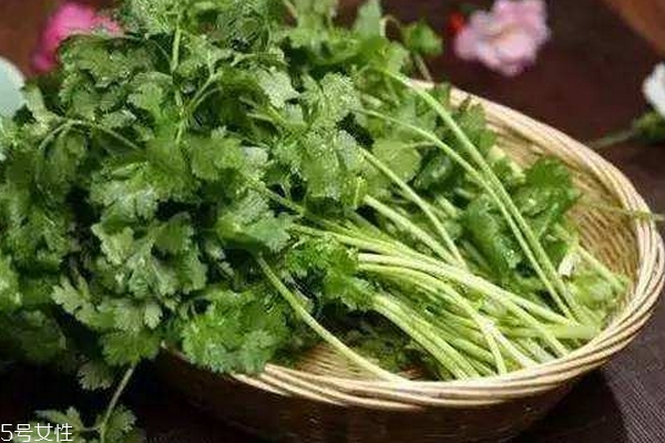 香菜會殺精嗎 沒有真實(shí)依據(jù)