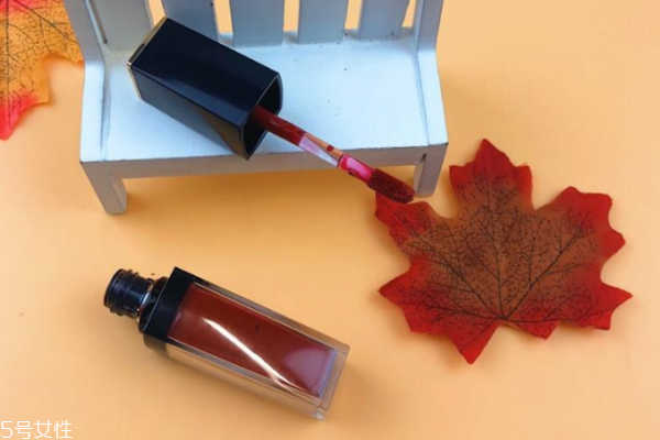 雅詩蘭黛唇釉307黃皮上嘴圖 美過秋日紅葉 雅詩蘭黛唇釉307黃皮上嘴圖 美過秋日紅葉