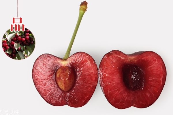 車?yán)遄佑惺裁雌贩N 車?yán)遄又R(shí)科普