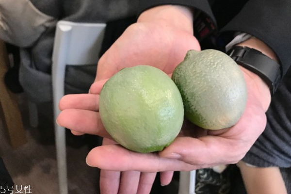 大牌粉底液的平價(jià)替代盤(pán)點(diǎn) 專柜粉底開(kāi)架類似款全推薦