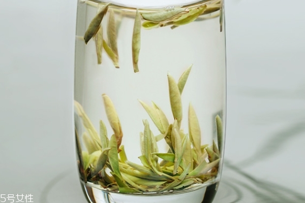 白茶怎么分好壞 學會這個就夠了 白茶怎么分好壞 學會這個就夠了