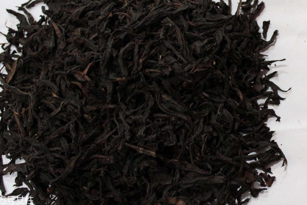 大紅袍怎么保存 4個(gè)方法保存它 大紅袍怎么保存 4個(gè)方法保存它