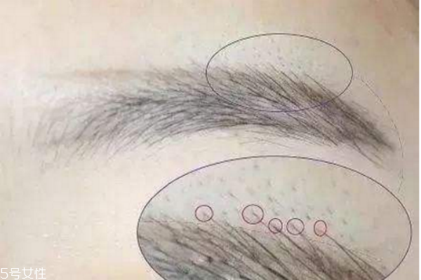 如何修眉畫眉 修眉毛小技巧 如何修眉畫眉 修眉毛小技巧