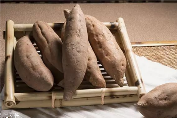 午餐吃地瓜 3要點讓紅薯減肥威力UP 午餐吃地瓜 3要點讓紅薯減肥威力UP