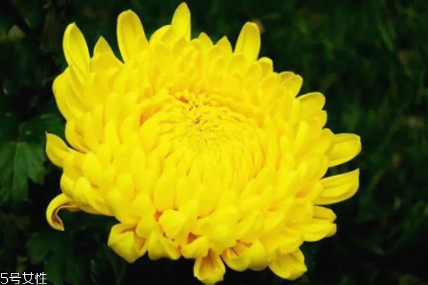 冬天干燥吃什么好 冬天干燥喝什么湯好 冬天干燥吃什么好 冬天干燥喝什么湯好