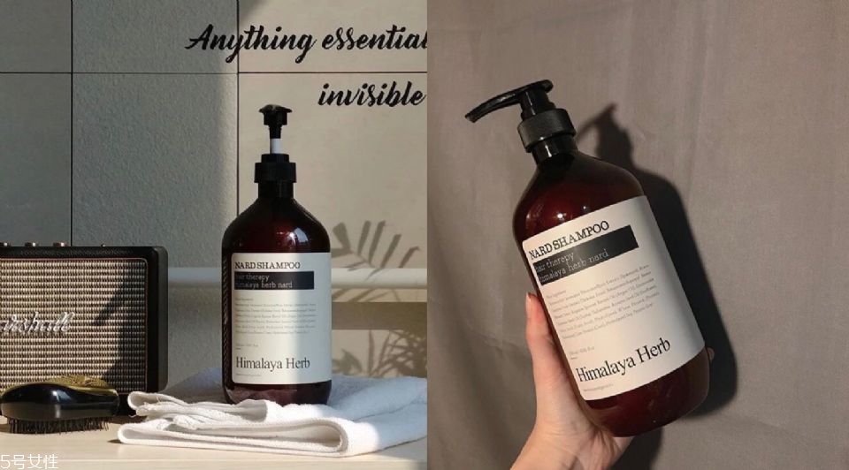 高性價(jià)比洗發(fā)乳什么牌子好 5款高性價(jià)比洗發(fā)乳推薦 高性價(jià)比洗發(fā)乳什么牌子好 5款高性價(jià)比洗發(fā)乳推薦