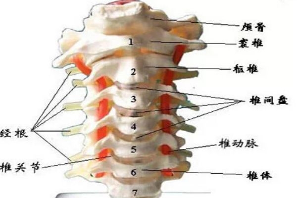 富貴包會(huì)引起什么病 教你如何預(yù)防 富貴包會(huì)引起什么病 教你如何預(yù)防