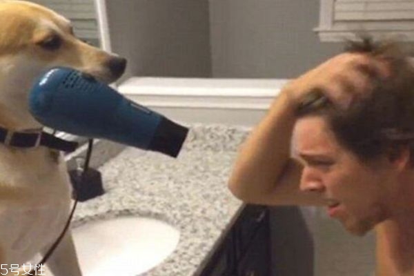 經(jīng)常用吹風(fēng)機(jī)吹頭發(fā)好嗎 會(huì)傷頭發(fā)嗎 經(jīng)常用吹風(fēng)機(jī)吹頭發(fā)好嗎 會(huì)傷頭發(fā)嗎