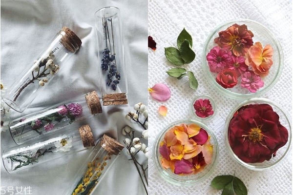 干燥花怎么做 5種干燥花制作方法