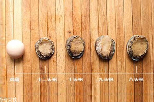 鮑魚頭數(shù)有什么好處 頭數(shù)代表質(zhì)量好壞 鮑魚頭數(shù)有什么好處 頭數(shù)代表質(zhì)量好壞