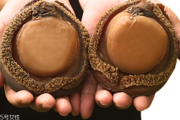 鮑魚頭數(shù)有什么好處 頭數(shù)代表質(zhì)量好壞 鮑魚頭數(shù)有什么好處 頭數(shù)代表質(zhì)量好壞