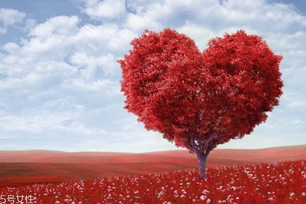 怎么求婚比較浪漫 求婚跪地姿勢(shì)