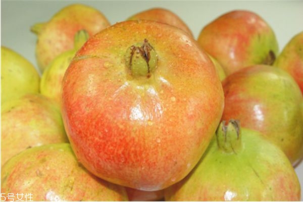 石榴怎么挑選 石榴全身都是寶 石榴怎么挑選 石榴全身都是寶