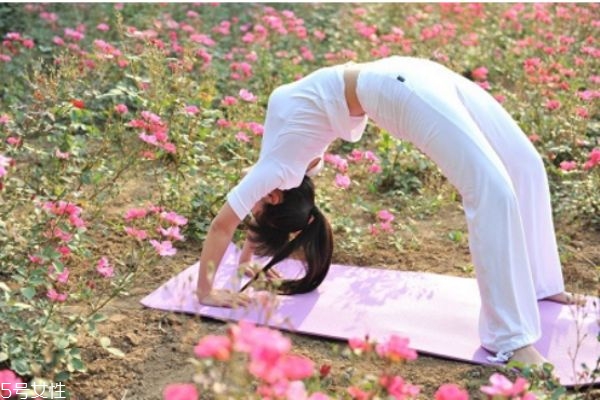 冬季養(yǎng)生比較適合做哪些運(yùn)動(dòng)來(lái)鍛煉身體 冬季養(yǎng)生比較適合做哪些運(yùn)動(dòng)來(lái)鍛煉身體