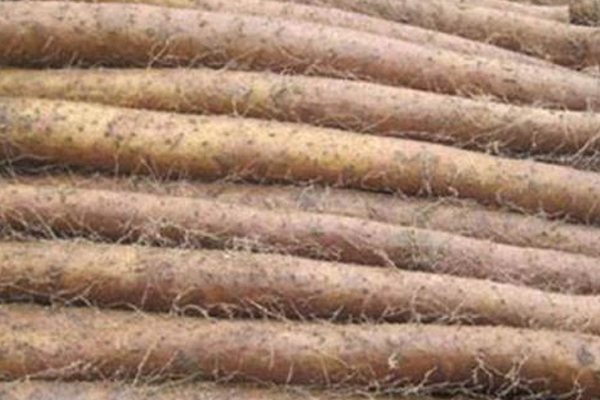 山藥會(huì)出水嗎 受過(guò)凍不要買(mǎi)