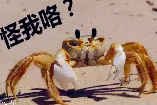 6個月的寶寶可以吃蛋黃嗎 吃蛋黃要注意這些 6個月的寶寶可以吃蛋黃嗎 吃蛋黃要注意這些