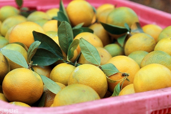 沃柑和皇帝柑的區(qū)別 沃柑和皇帝柑哪個好吃 沃柑和皇帝柑的區(qū)別 沃柑和皇帝柑哪個好吃