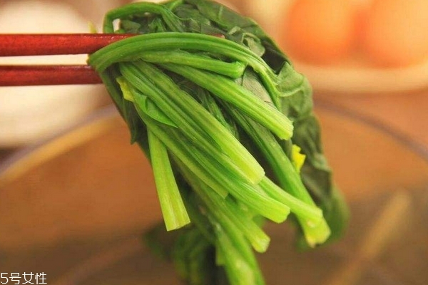 菠菜怎么種 這樣種才對 菠菜怎么種 這樣種才對